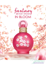 Britney Spears Fantasy in Bloom EDT 100ml за Жени Дамски Парфюми