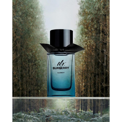 Burberry Mr. Burberry Element EDT 100ml за Мъже БЕЗ ОПАКОВКА Мъжки Парфюми без опаковка