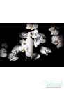 Clinique Aromatics in White EDP 100ml за Жени Дамски Парфюми