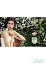 Dolce&Gabbana Dolce EDP 30ml за Жени Дамски Парфюми