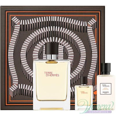Hermes Terre D'Hermes Комплект (EDT 100ml + EDT 5ml + AS Balm 40ml) за Мъже Мъжки Комплекти
