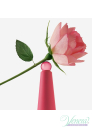 Issey Miyake L'Eau D'Issey Rose & Rose EDP 50ml за Жени Дамски Парфюми