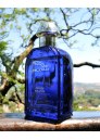 Jaguar For Men Evolution EDT 100ml за Мъже Мъжки Парфюми