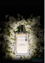 Van Cleef & Arpels Collection Extraordinaire California Reverie EDP 75ml за Жени БЕЗ ОПАКОВКА Дамски Парфюми без опаковка