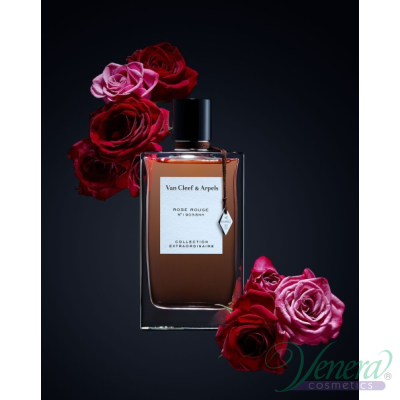 Van Cleef & Arpels Collection Extraordinair...