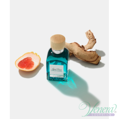 Adolfo Dominguez Agua Fresca Citrus Cedro EDT 120ml за Мъже БЕЗ ОПАКОВКА Мъжки Парфюми без опаковка