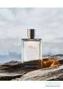 Hermes Terre D'Hermes Eau Givree EDP 100ml за Мъже Мъжки Парфюми