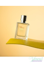 Hermes Terre D'Hermes Eau Givree EDP 100ml за Мъже Мъжки Парфюми