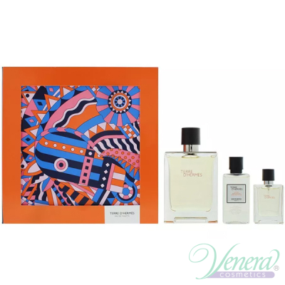 Hermes Terre D'Hermes Комплект (EDT 100ml + EDT 12.5ml + After Save Balm 40ml) за Мъже За Мъже