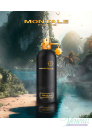 Montale Oud Island EDP 100ml за Мъже и Жени БЕЗ ОПАКОВКА Унисекс Парфюми без опаковка
