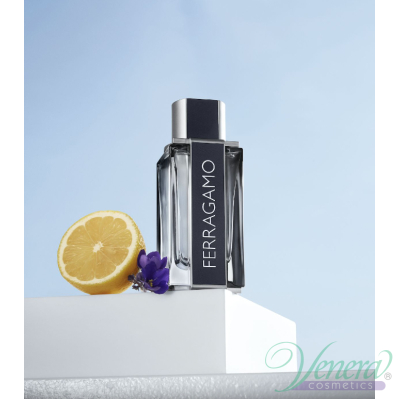 Salvatore Ferragamo Ferragamo EDT 30ml за Мъже Мъжки Парфюми
