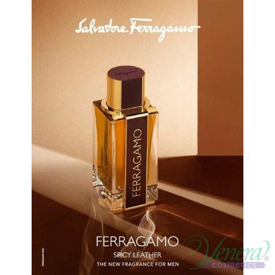 Salvatore Ferragamo Ferragamo Spicy Leather EDP 100ml за Мъже Мъжки Парфюми