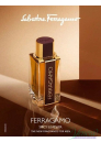 Salvatore Ferragamo Ferragamo Spicy Leather EDP 100ml за Мъже Мъжки Парфюми