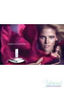 Calvin Klein Euphoria EDP 30ml за Жени Дамски Парфюми