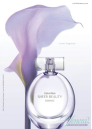 Calvin Klein Sheer Beauty Essence EDT 50ml за Жени За Жени
