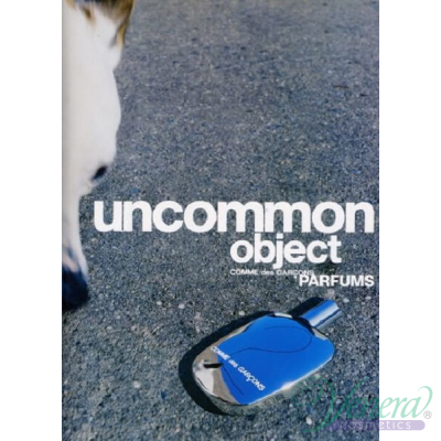 Comme des Garcons 2 EDP 100ml за Мъже и Жени Унисекс Парфюми
