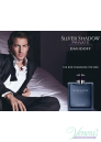 Davidoff Silver Shadow Private EDT 100ml за Мъже БЕЗ ОПАКОВКА За Мъже