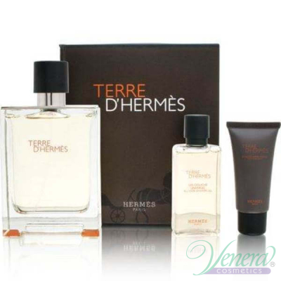 Hermes Terre D'Hermes Комплект (EDT 100ml + SGel 40ml + After Save Balm 15ml) за Мъже За Мъже