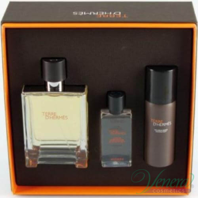 Hermes Terre D'Hermes Комплект (EDT 100ml + AS Lotion 40ml + SF 50ml) за Мъже За Мъже