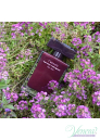 Narciso Rodriguez for Her L'Absolu EDP 50ml за Жени Дамски Парфюми